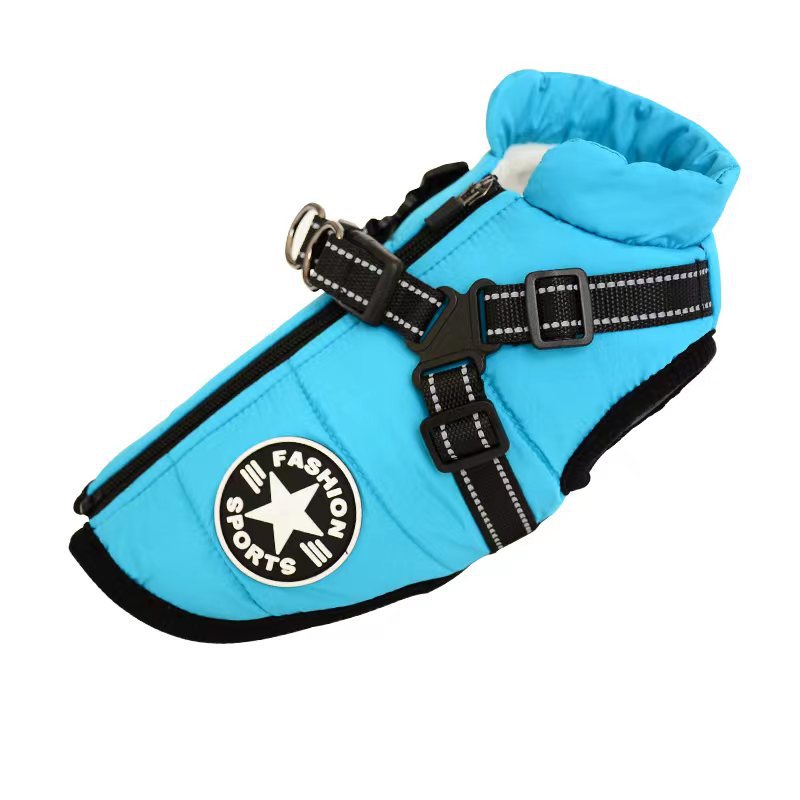 Bright blue insulated waterproof dog coat with black adjustable harness and fashion sports patch