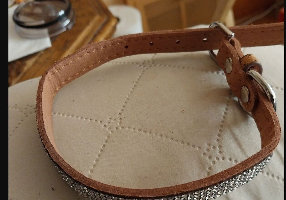 brown leather dog collar with sparkling rhinestones and silver buckle on beige quilted surface