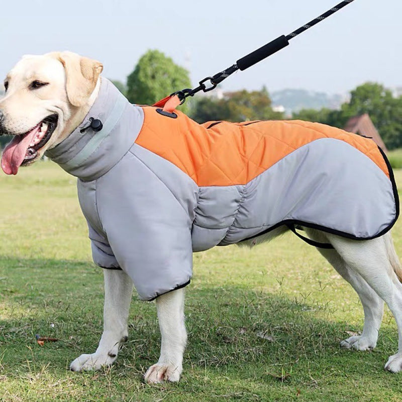 Large dog wearing gray and orange waterproof insulated winter coat with leash outdoors on grass