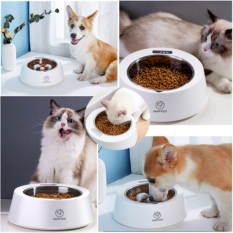 White smart pet food bowl with LED display and detachable spoon used by cats and a corgi dog