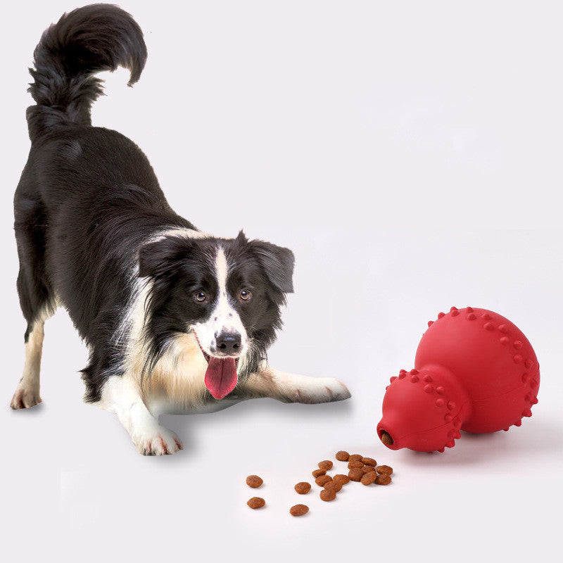 black and white Border Collie near red chew-resistant interactive dog treat dispenser toy with kibble