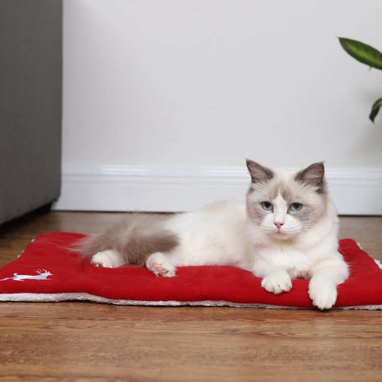 Ragdoll cat with blue eyes lying on red pet bed on wooden floor indoors