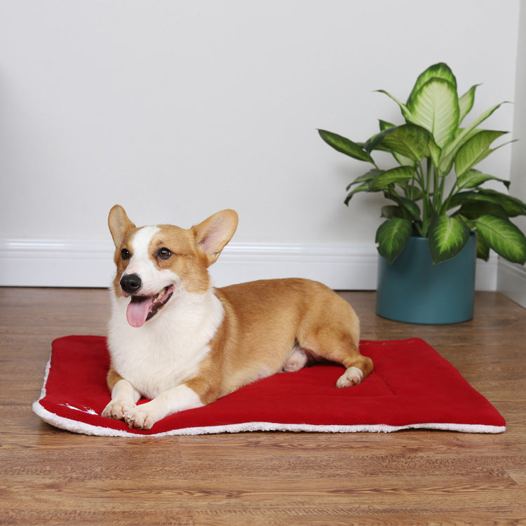 Happy Pembroke Welsh Corgi lying on red pet bed on wooden floor with green potted plant
