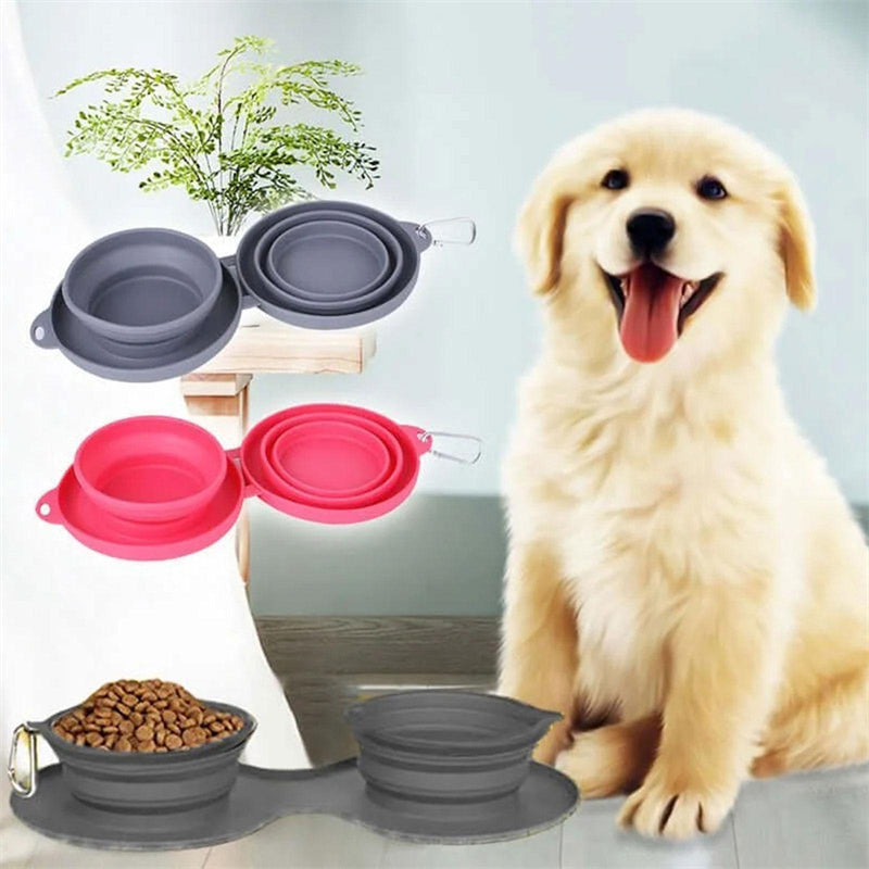 Collapsible silicone dog bowls in gray and pink with clip, happy golden retriever puppy