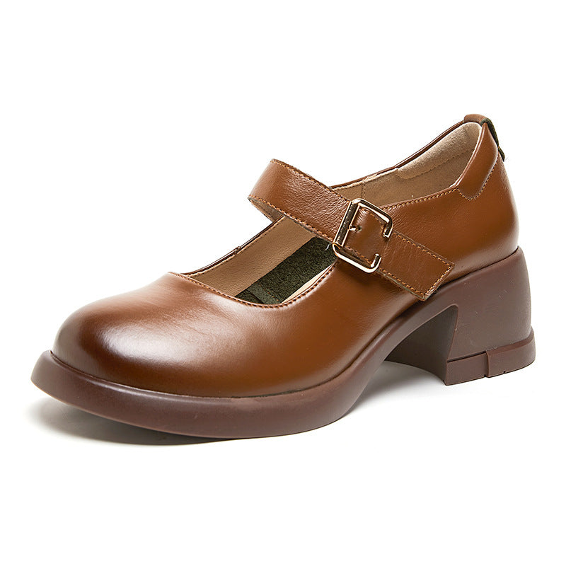 Brown leather Mary Jane women’s shoe with block heel and buckle strap on white background