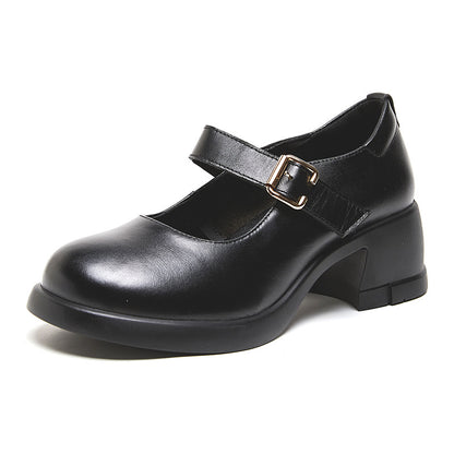 Black leather Mary Jane shoe with block heel and gold buckle strap on white background