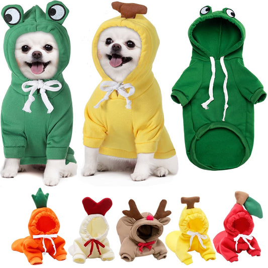 Small dogs wearing warm fleece hoodies in frog and pineapple designs, plus various colorful pet hoodies