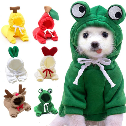Small white dog wearing green frog hoodie with large eyes, surrounded by colorful pet hoodies
