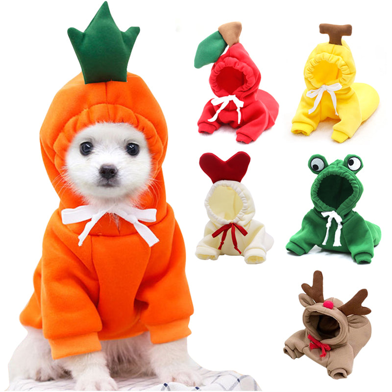 Small dog wearing orange carrot hoodie with green top, surrounded by fruit and animal-themed pet clothes