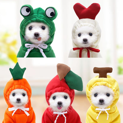 Small white dog in five colorful warm fleece hoodies shaped like frog, heart, carrot, strawberry, and pineapple