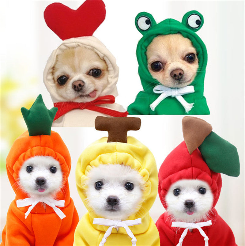Small dogs wearing colorful warm fleece hoodies with fruit and frog-themed hoods for pets