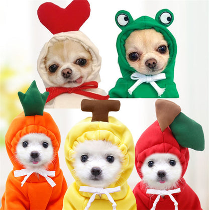 Small dogs wearing colorful warm fleece hoodies with fruit and frog-themed hoods for pets