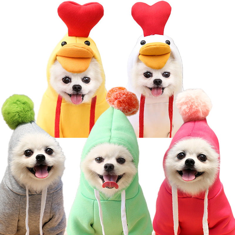 Five small dogs wearing colorful hoodies, two with yellow and white chicken costumes and three with pom-pom hoodies in gray, mint green, and pink