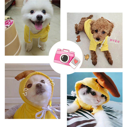 Small dogs and cat wearing yellow fruit-themed hoodies, cute pet clothing, warm fleece outfits