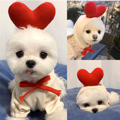 Small white dog wearing a warm cream fleece hoodie with red heart on top and red bow tie