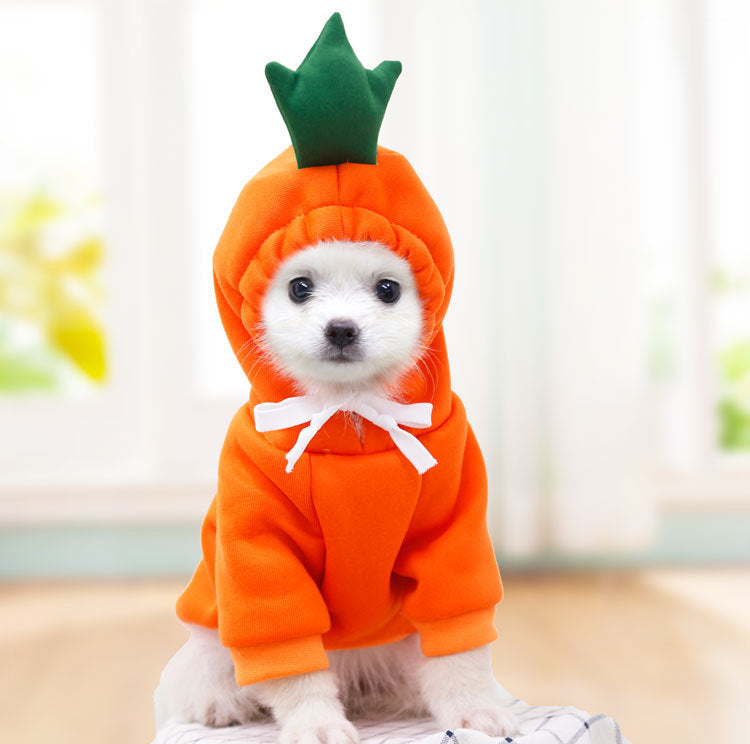 Small white dog wearing warm orange carrot costume hoodie with green leaf hood indoors
