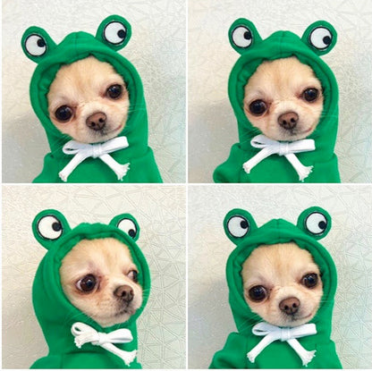Small dog wearing green frog hoodie with big eyes and white drawstring in four close-up portraits