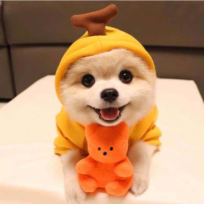 Small dog wearing a yellow fruit-themed hoodie with a stem on hood, holding an orange plush toy