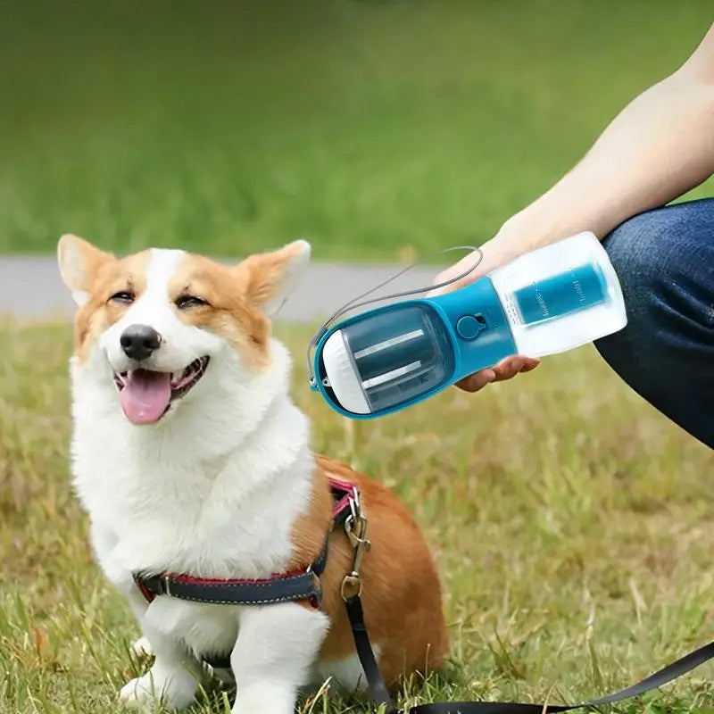 Happy corgi dog sitting on grass with portable blue pet water bottle and feeder held by person