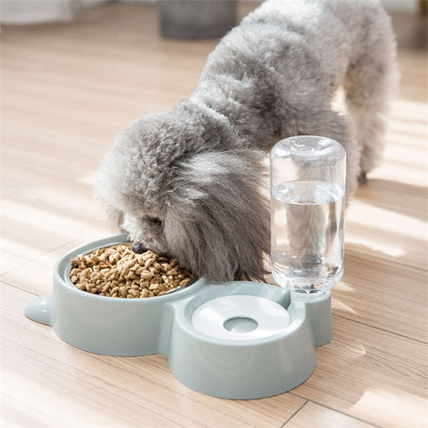 Gray poodle dog eating from a light green pet bowl with attached automatic water dispenser on wooden floor