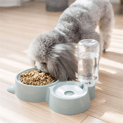 Gray poodle dog eating from a light green pet bowl with attached automatic water dispenser on wooden floor