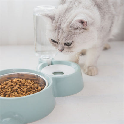 silver tabby cat eating dry food from a blue automatic pet feeder with attached water dispenser