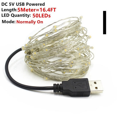 5 meter USB powered warm white copper wire fairy string lights with 50 LEDs, energy-efficient holiday decor