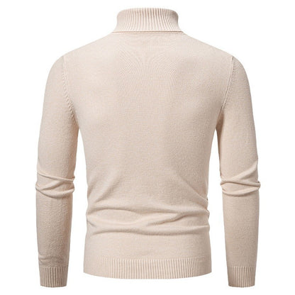 Men's beige slim fit turtleneck sweater with ribbed cuffs and hem, winter knitwear