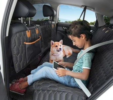Child sitting in car backseat on black quilted pet car mat with dog beside him, both secured by seatbelts
