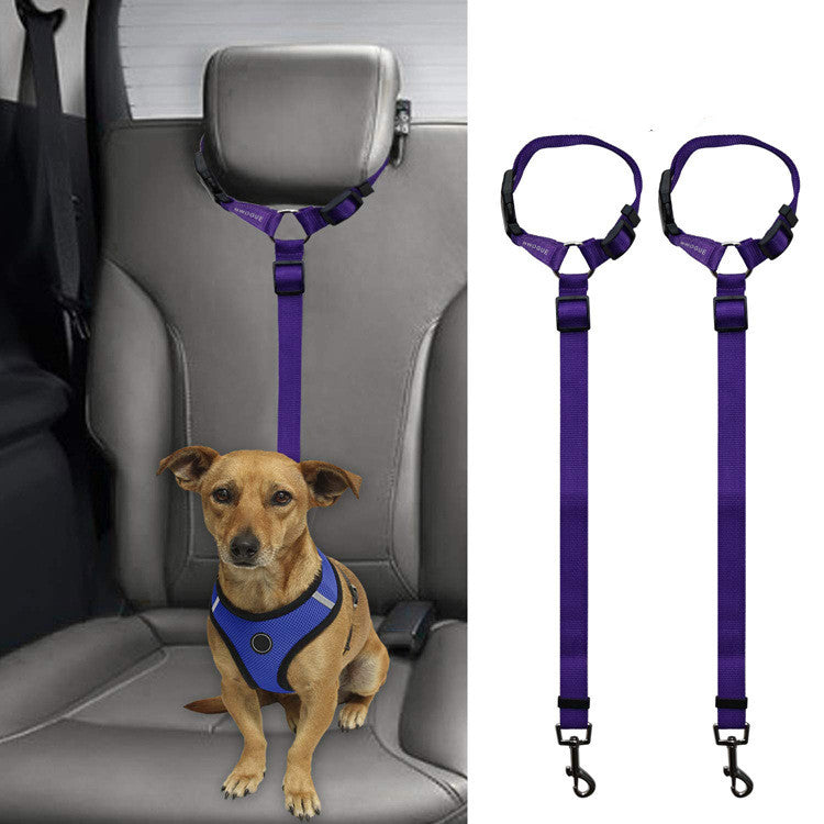 Small dog in blue harness secured on car seat with adjustable purple pet safety leash restraint
