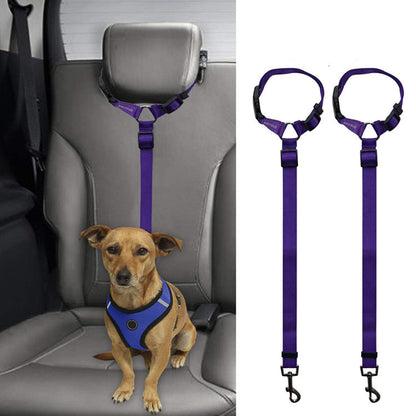 Small dog in blue harness secured on car seat with adjustable purple pet safety leash restraint