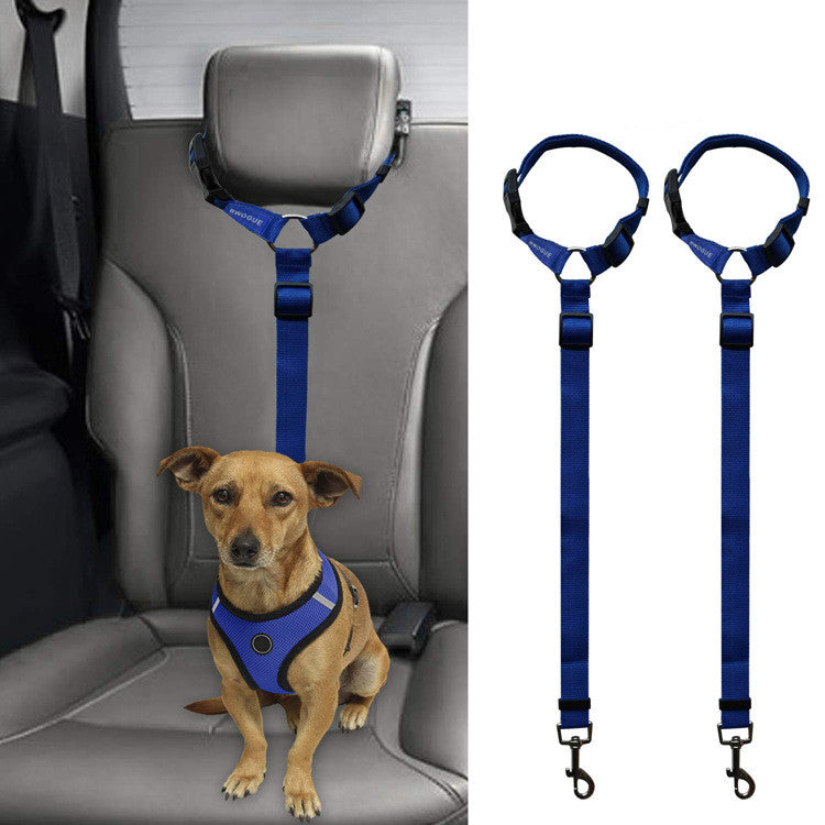 Small dog seated on car seat wearing blue safety harness attached to adjustable blue pet leash for travel restraint
