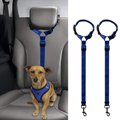 Small dog seated on car seat wearing blue safety harness attached to adjustable blue pet leash for travel restraint