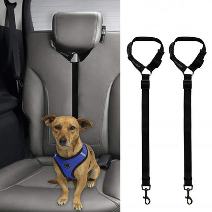 Small dog wearing blue harness secured on gray car seat with black adjustable pet leash safety restraint