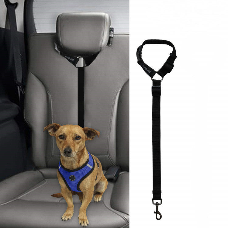 Small dog in blue harness secured with black adjustable pet car seatbelt leash on gray car seat