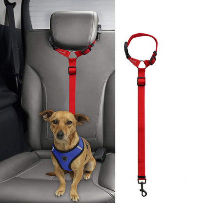 Small dog in blue harness secured with adjustable red car pet leash attached to vehicle headrest