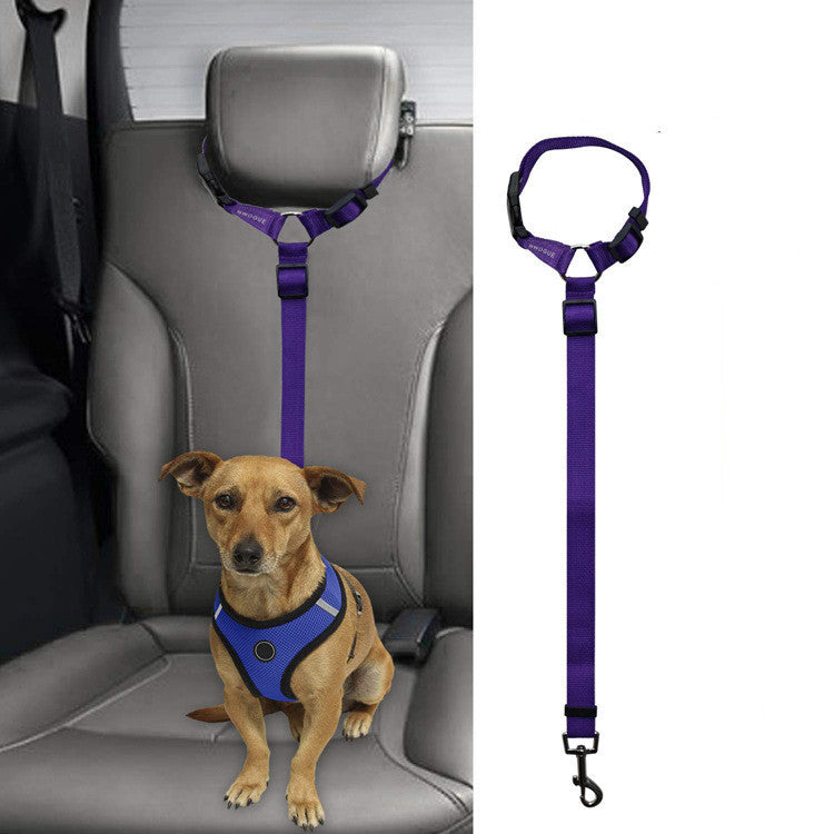 Small brown dog wearing blue harness secured with purple adjustable car pet leash on gray car seat