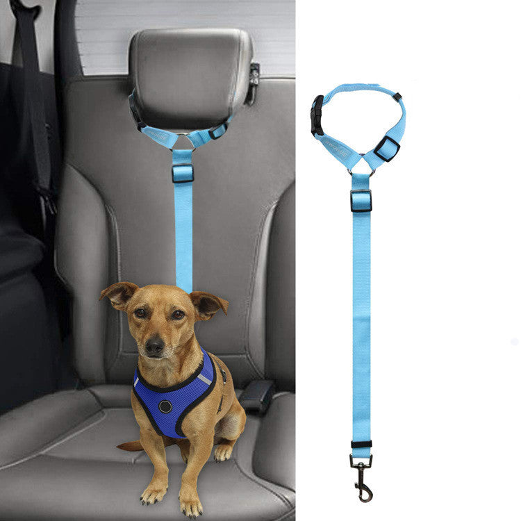 Small dog wearing blue harness secured with adjustable blue car pet leash on car seat