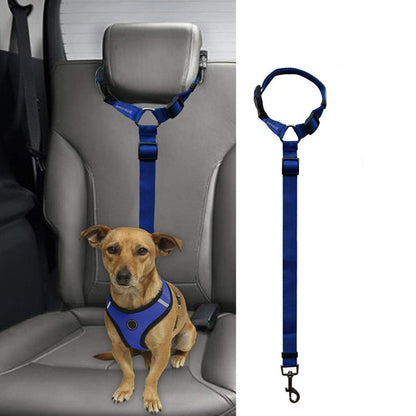 Small dog in blue harness attached to adjustable blue car seat pet leash for safety restraint