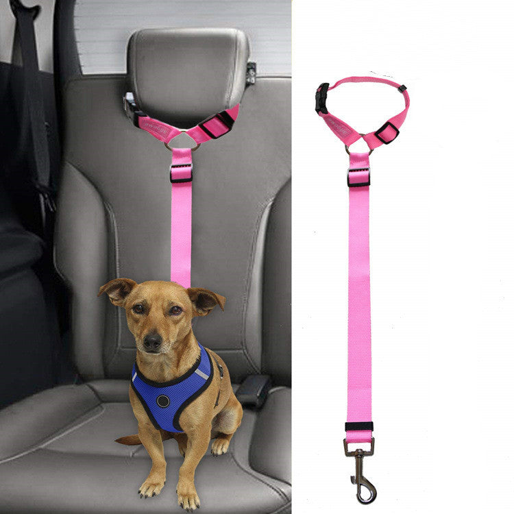 Small dog wearing blue harness secured in car seat with adjustable pink pet safety leash