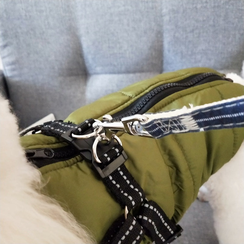 White dog wearing green insulated waterproof winter coat with black harness and blue leash on gray chair