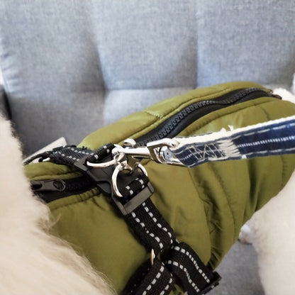 White dog wearing green insulated waterproof winter coat with black harness and blue leash on gray chair