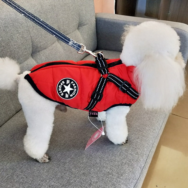 White poodle wearing red insulated waterproof dog coat with built-in harness and leash on gray sofa
