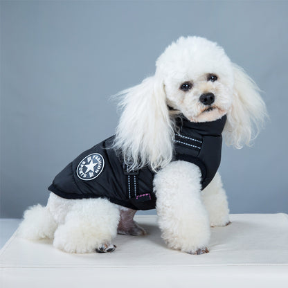 White poodle wearing black waterproof insulated winter dog coat with built-in leash harness