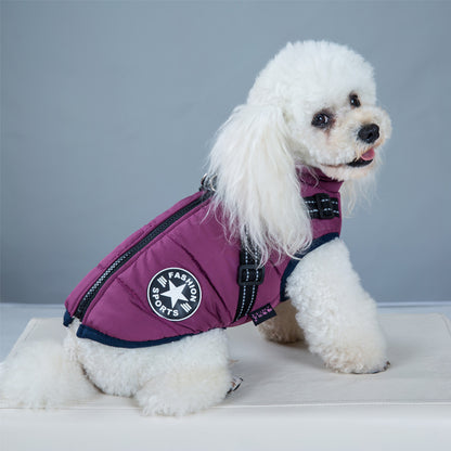 White poodle wearing purple insulated waterproof dog coat with harness against gray backdrop