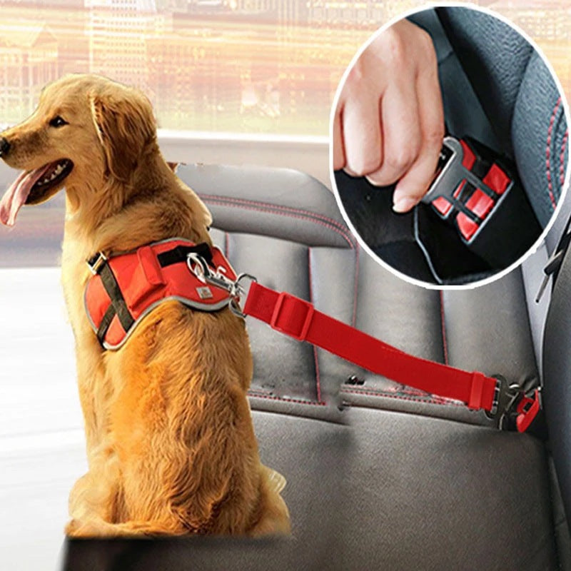 Golden retriever dog wearing red adjustable pet car seat belt harness clipped to car seat buckle