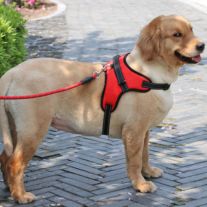 Golden retriever wearing red adjustable reflective padded dog harness on leash outdoors