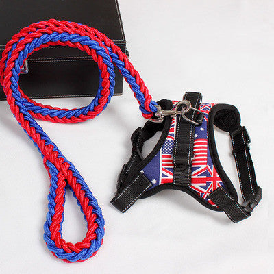 Red and blue braided dog leash attached to black nylon harness with American and British flag print