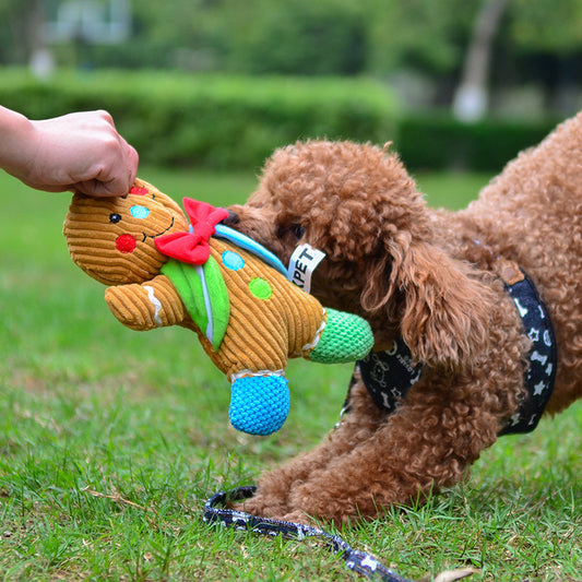 Curly brown dog playing tug with a plush gingerbread man dog toy outdoors on grass