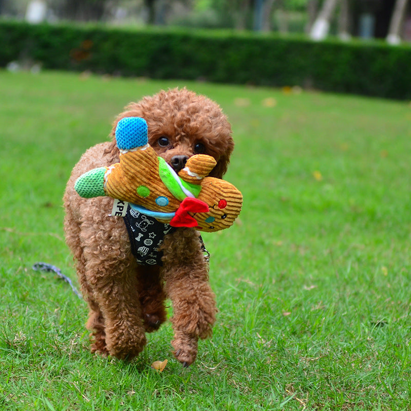 Brown curly dog running on grass carrying a colorful gingerbread man plush squeaky toy